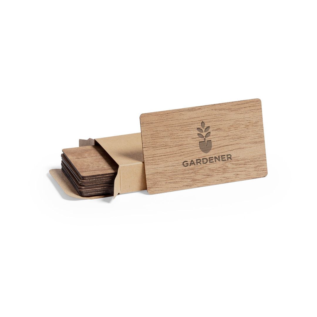 Set Cartolinas Inary